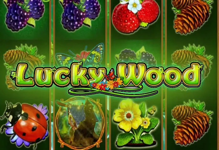 Play top casino slot games at 0xbetcasino for exciting entertainment.